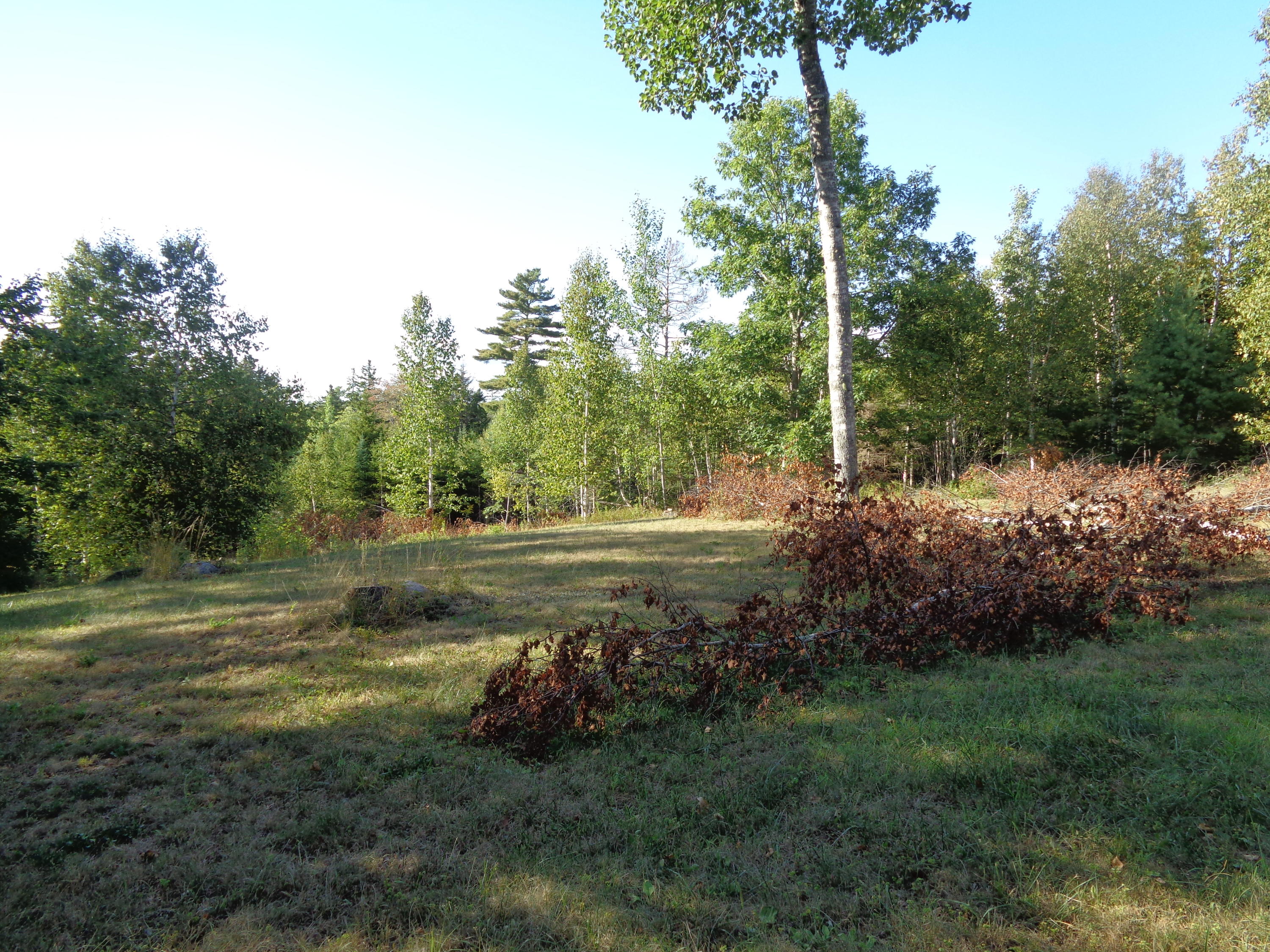 46 B Fuller Road Sullivan, ME 04664 - Photo 9 of 9 DSC07445