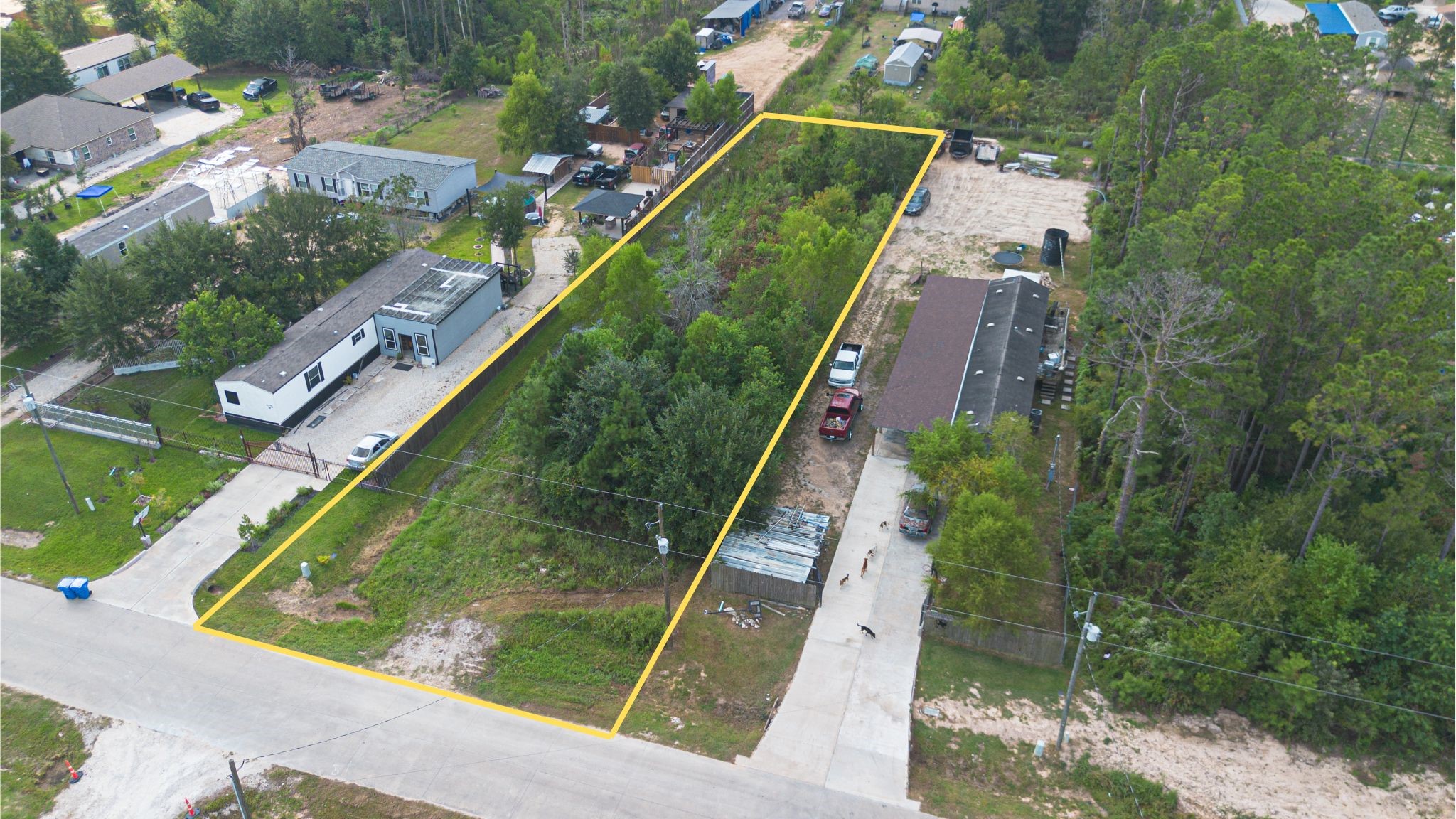 a view of a yard with potted plants