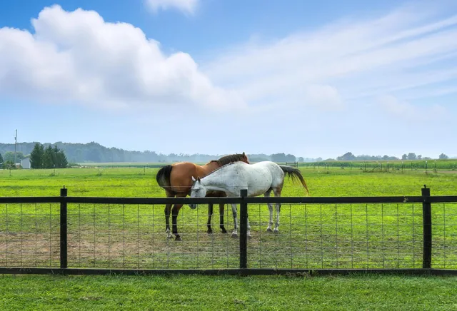 $515,000 | 12185 Irish Road, Otisville, MI 48463