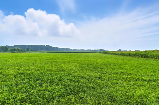 $515,000 | 12185 Irish Road, Otisville, MI 48463