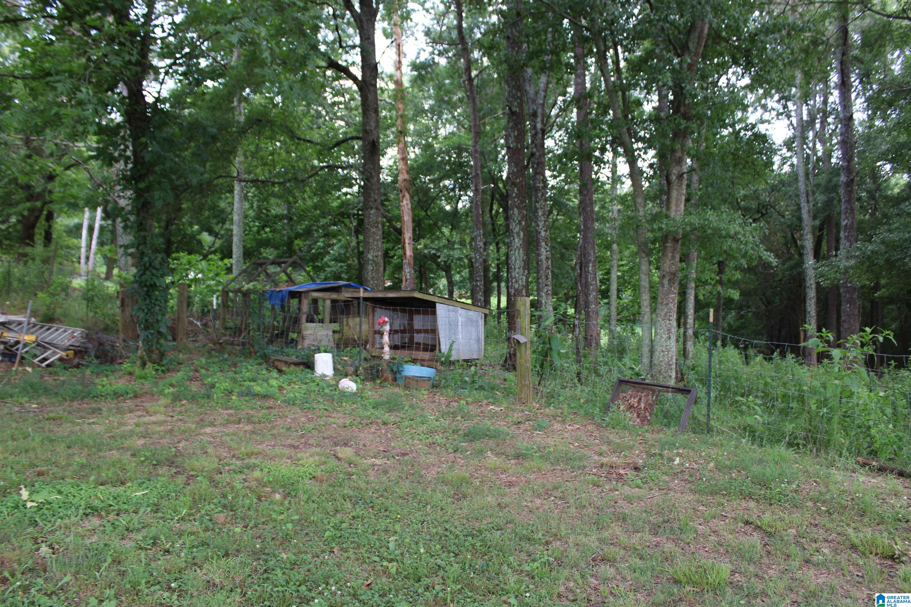 145 Rabbit Branch Road Cropwell, AL 35054 - Photo 8 of 43