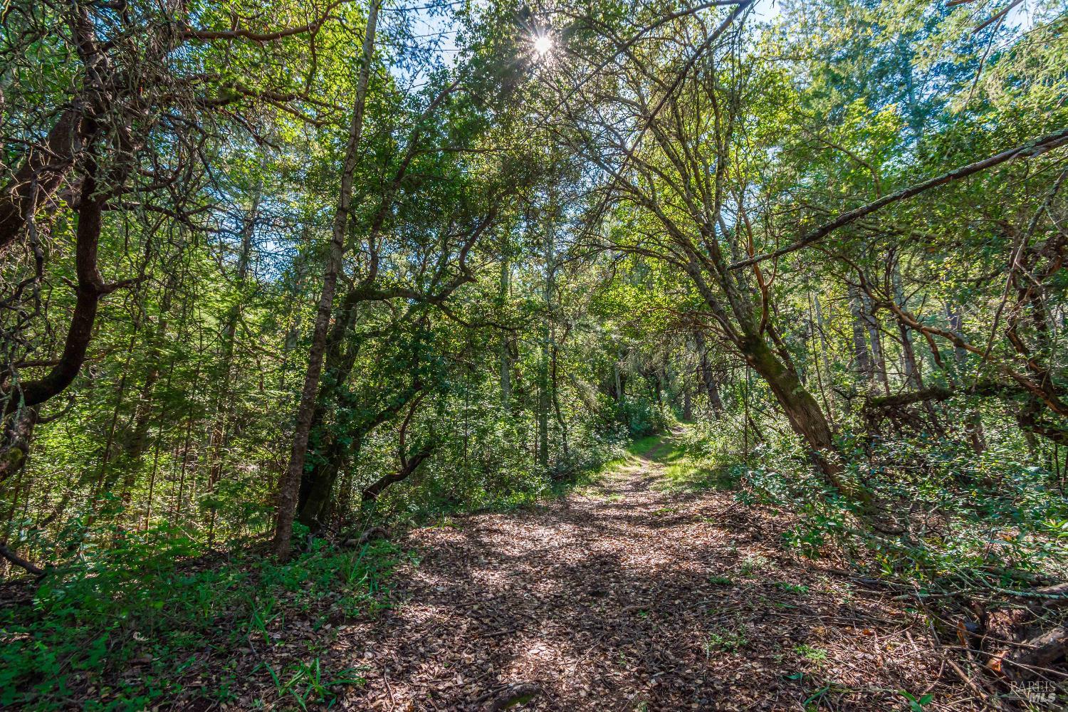 0 Dry Creek Road Napa, CA 94558 - Photo 68 of 98