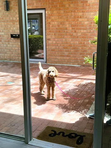 $5,250 | 630 Vernon Avenue, Unit 12, Glencoe, IL 60022