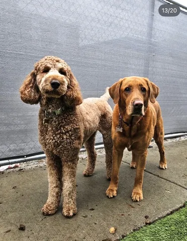 $5,250 | 630 Vernon Avenue, Unit 12, Glencoe, IL 60022