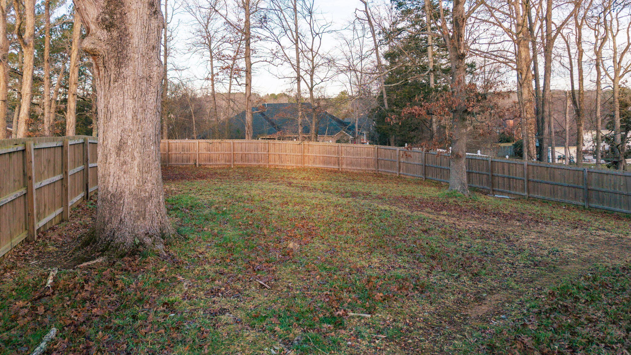 2331 Freewill Road Northwest Cleveland, TN 37312 - Photo 40 of 44 Backyard