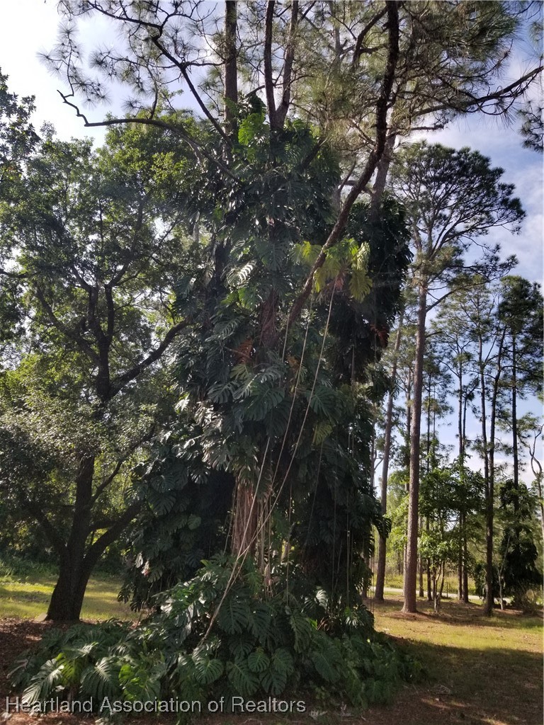 9125 Spur Path Sebring, FL 33875 - Photo 27 of 31 Unbelievable beautiful mature trees!