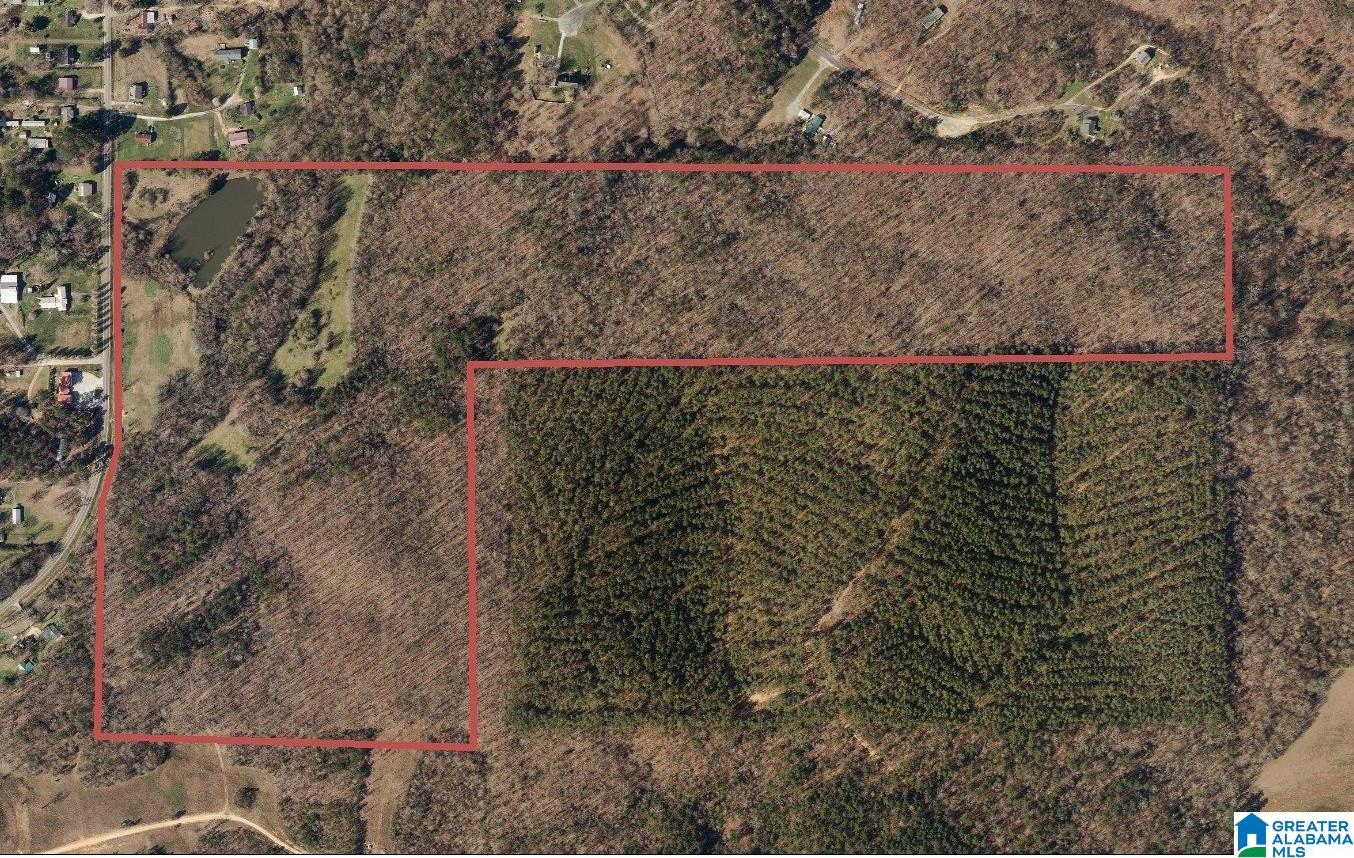 31 County Road Ashville, AL 35953 - Photo 14 of 14
