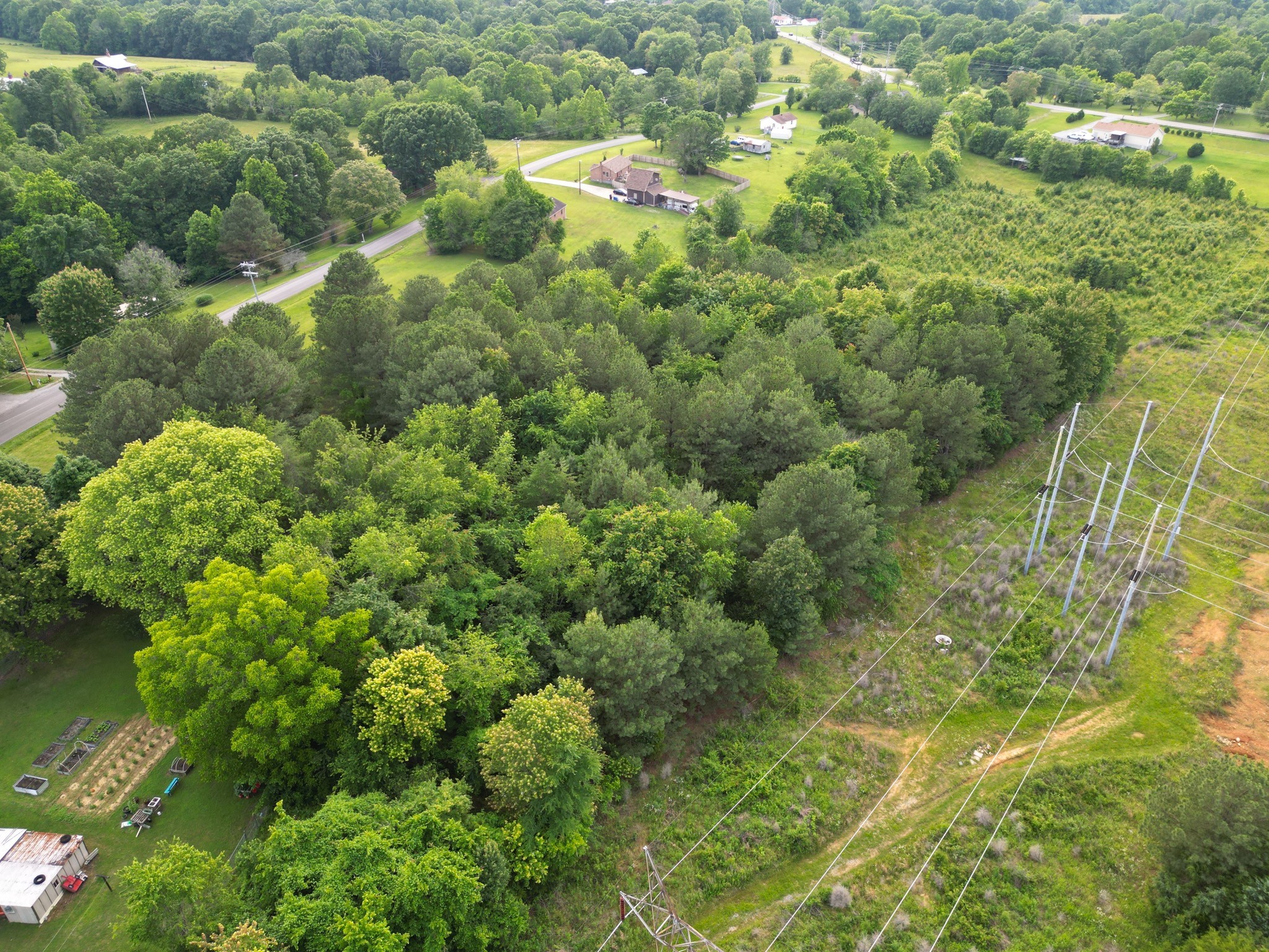 0 Raybon Binkley Road Ashland City, TN 37015 - Photo 11 of 32 a view of a forest