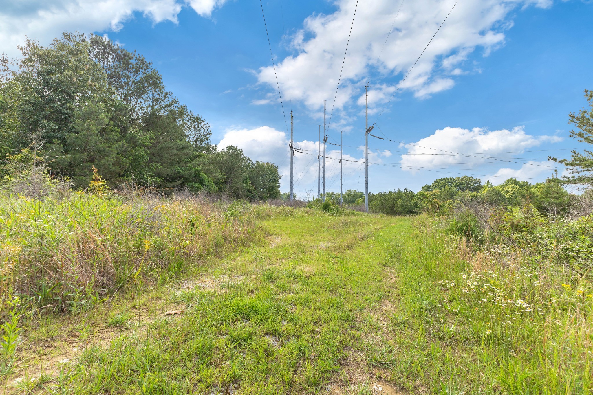 0 Raybon Binkley Road Ashland City, TN 37015 - Photo 13 of 32 a view of a yard
