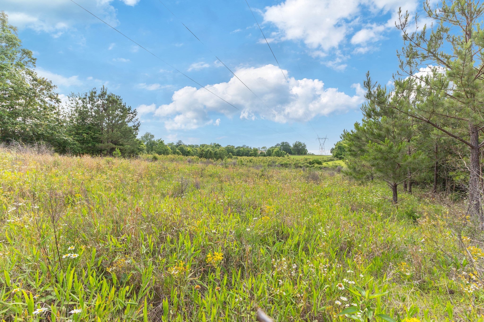 0 Raybon Binkley Road Ashland City, TN 37015 - Photo 14 of 32 a view of lake view and mountain view