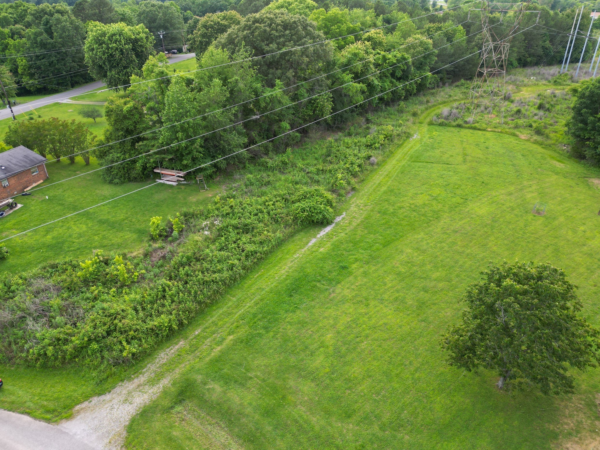 0 Raybon Binkley Road Ashland City, TN 37015 - Photo 21 of 32 a lush green forest with lots of trees