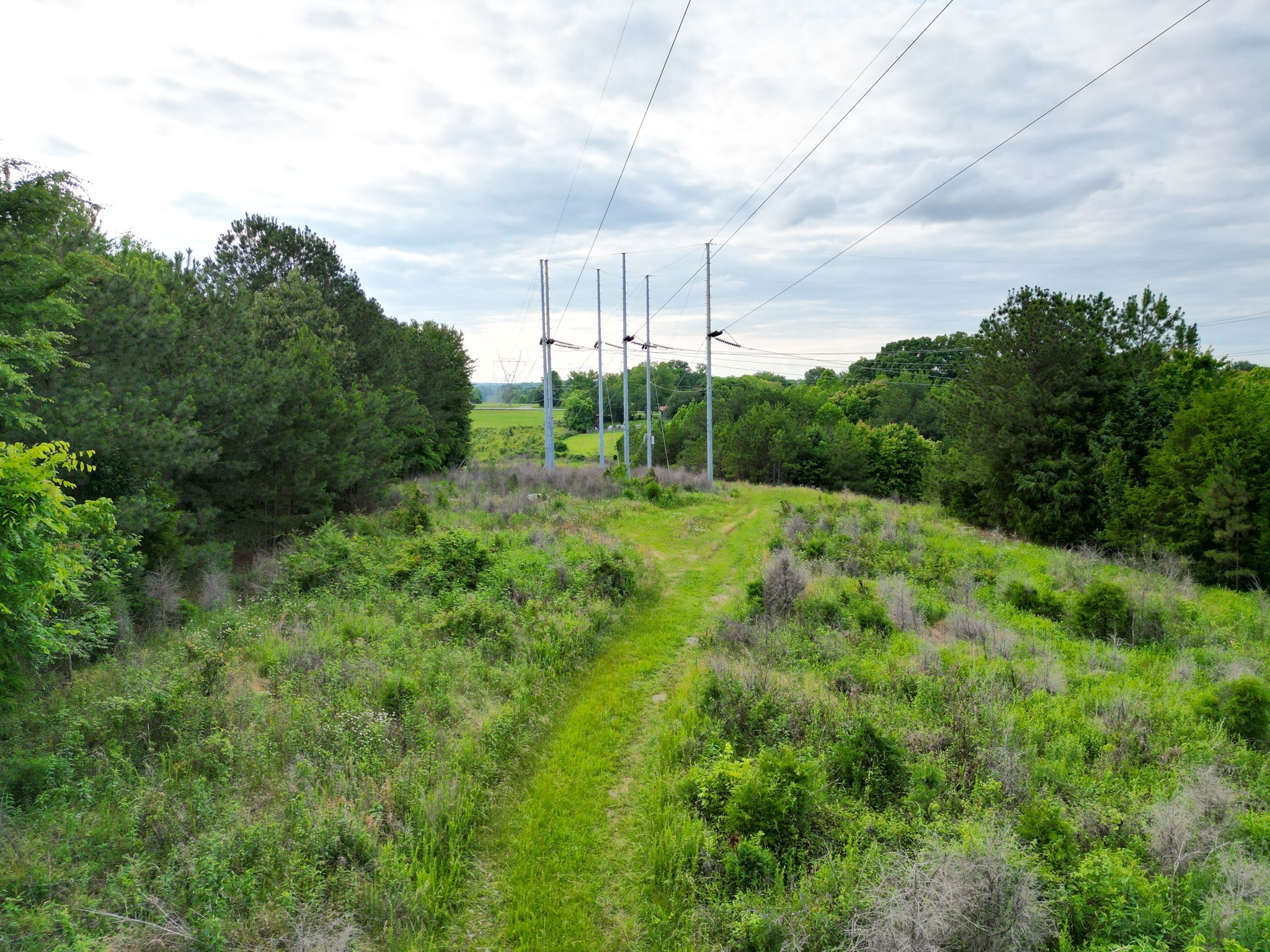 0 Raybon Binkley Road Ashland City, TN 37015 - Photo 23 of 32 a view of a green filed