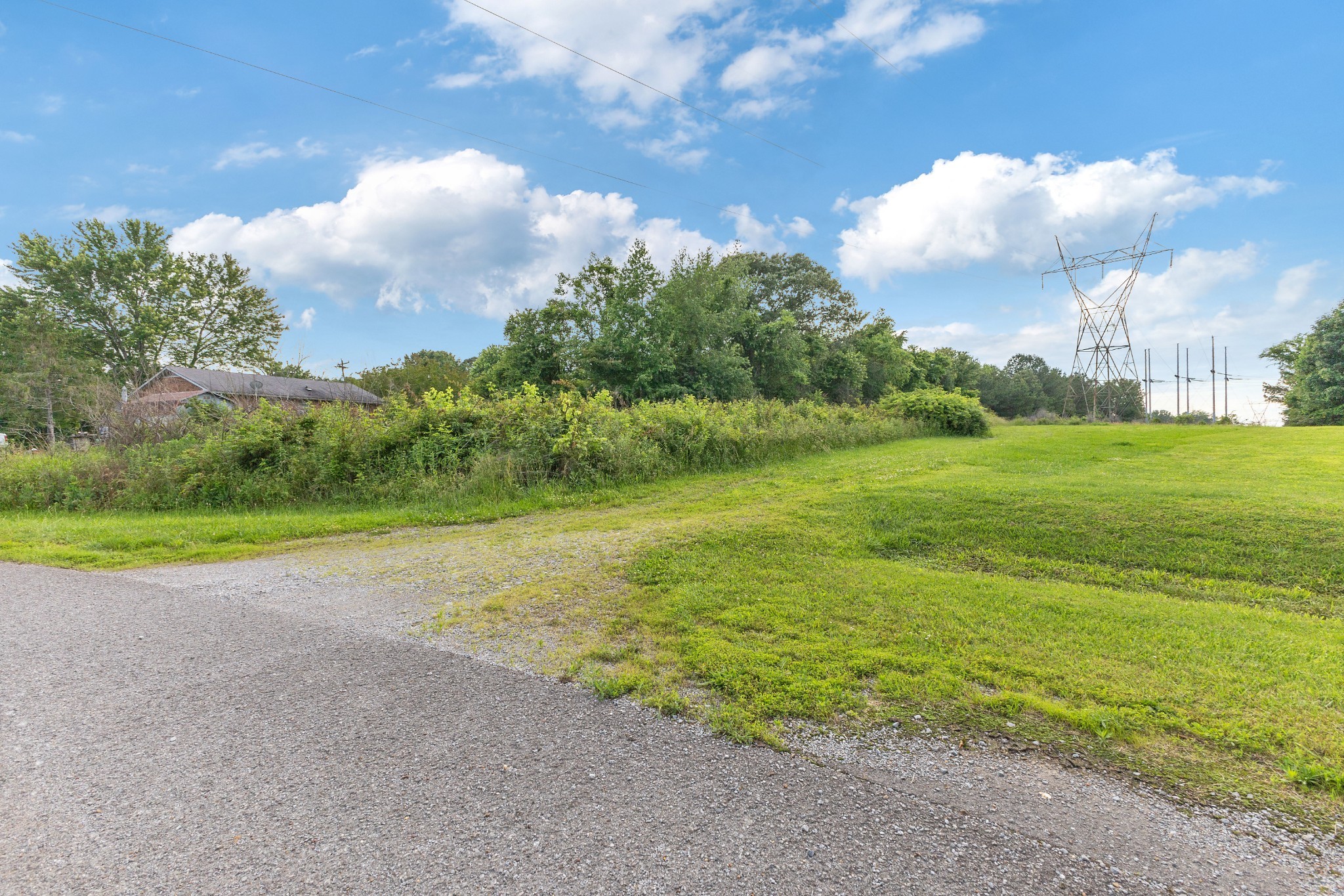 0 Raybon Binkley Road Ashland City, TN 37015 - Photo 31 of 32 a view of a big yard with a large trees