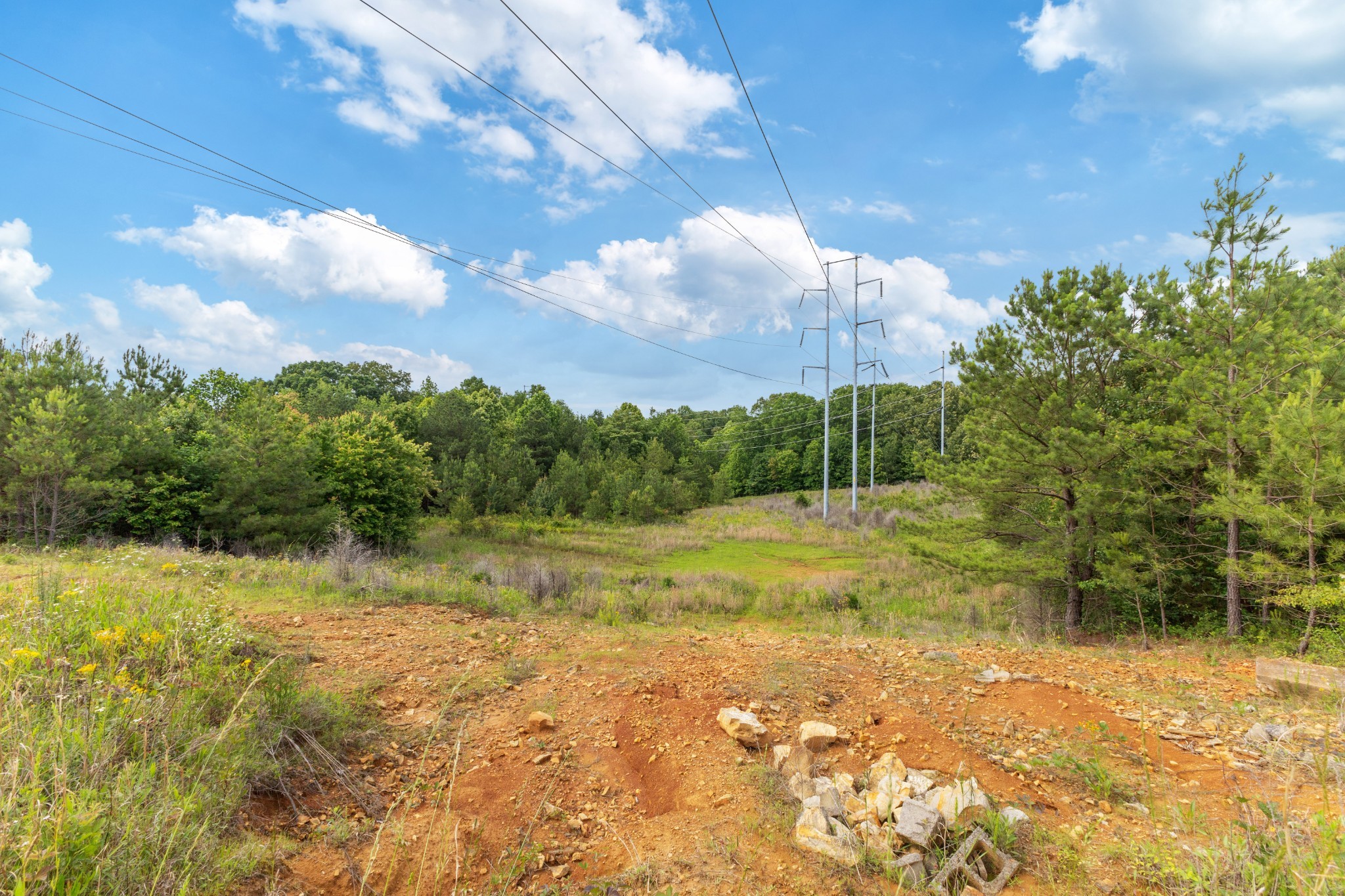 0 Raybon Binkley Road Ashland City, TN 37015 - Photo 32 of 32 a view of an outdoor space and a yard