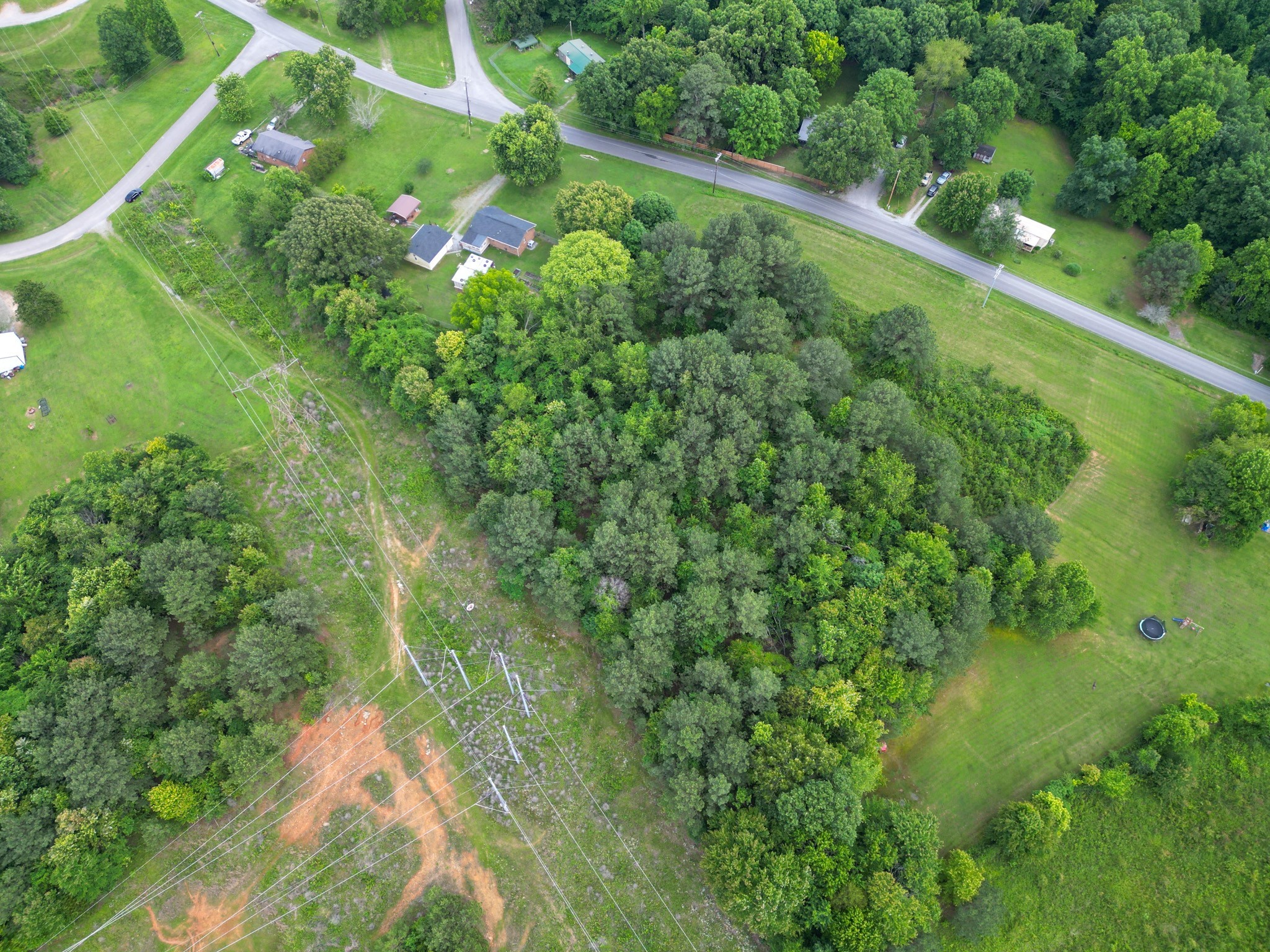 0 Raybon Binkley Road Ashland City, TN 37015 - Photo 5 of 32 a view of a lush green forest with large trees