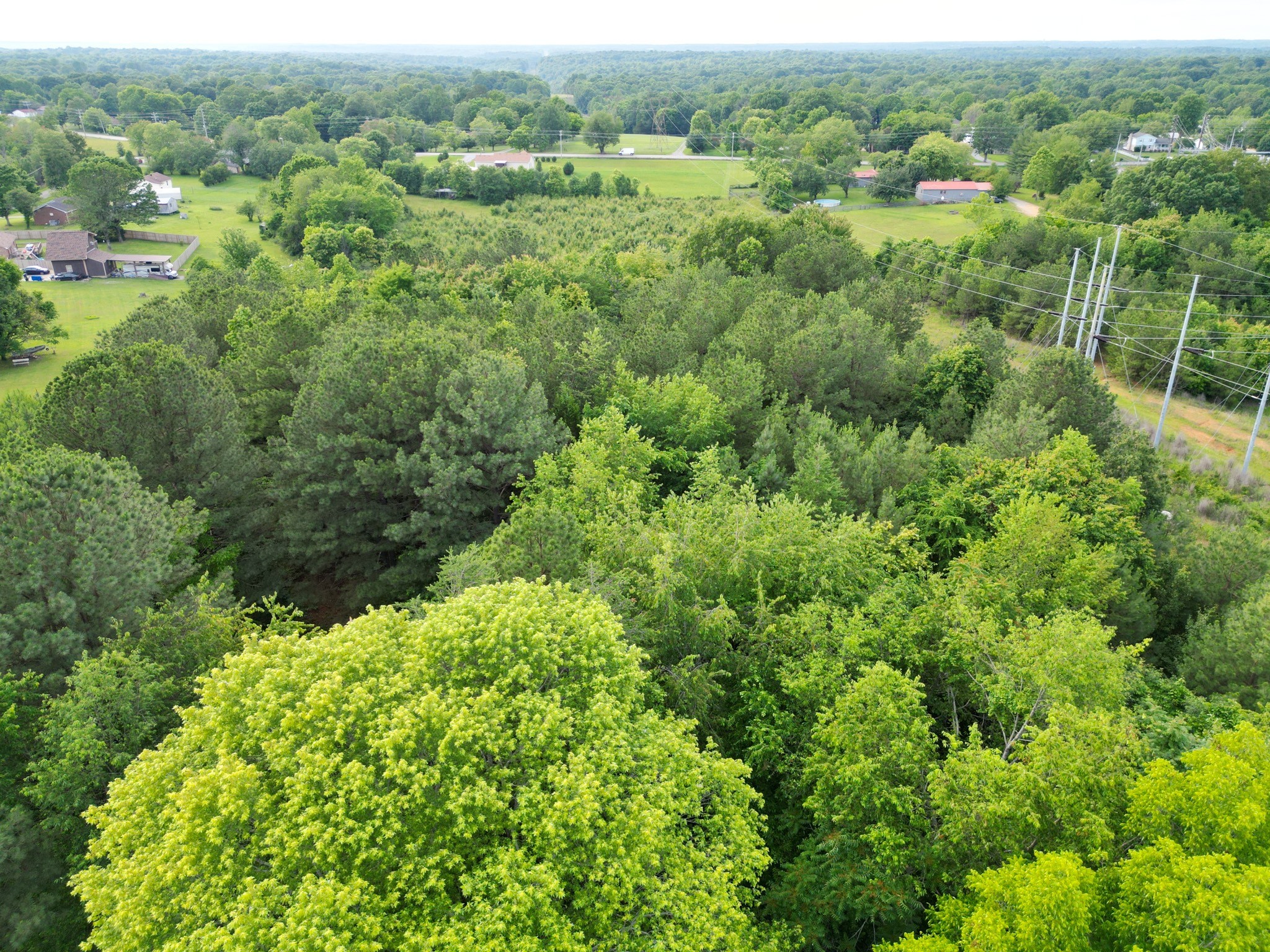 0 Raybon Binkley Road Ashland City, TN 37015 - Photo 10 of 32 an aerial view of residential house with outdoor space and trees all around
