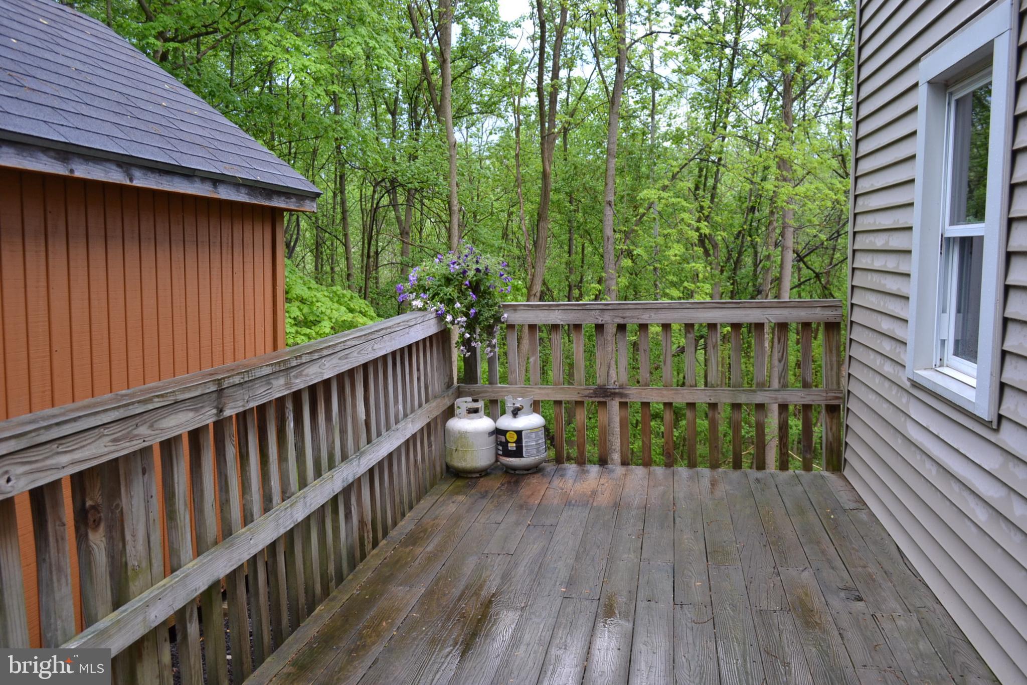 7201 Swagger Road New Hope, PA 18938 - Photo 23 of 33 Side Deck