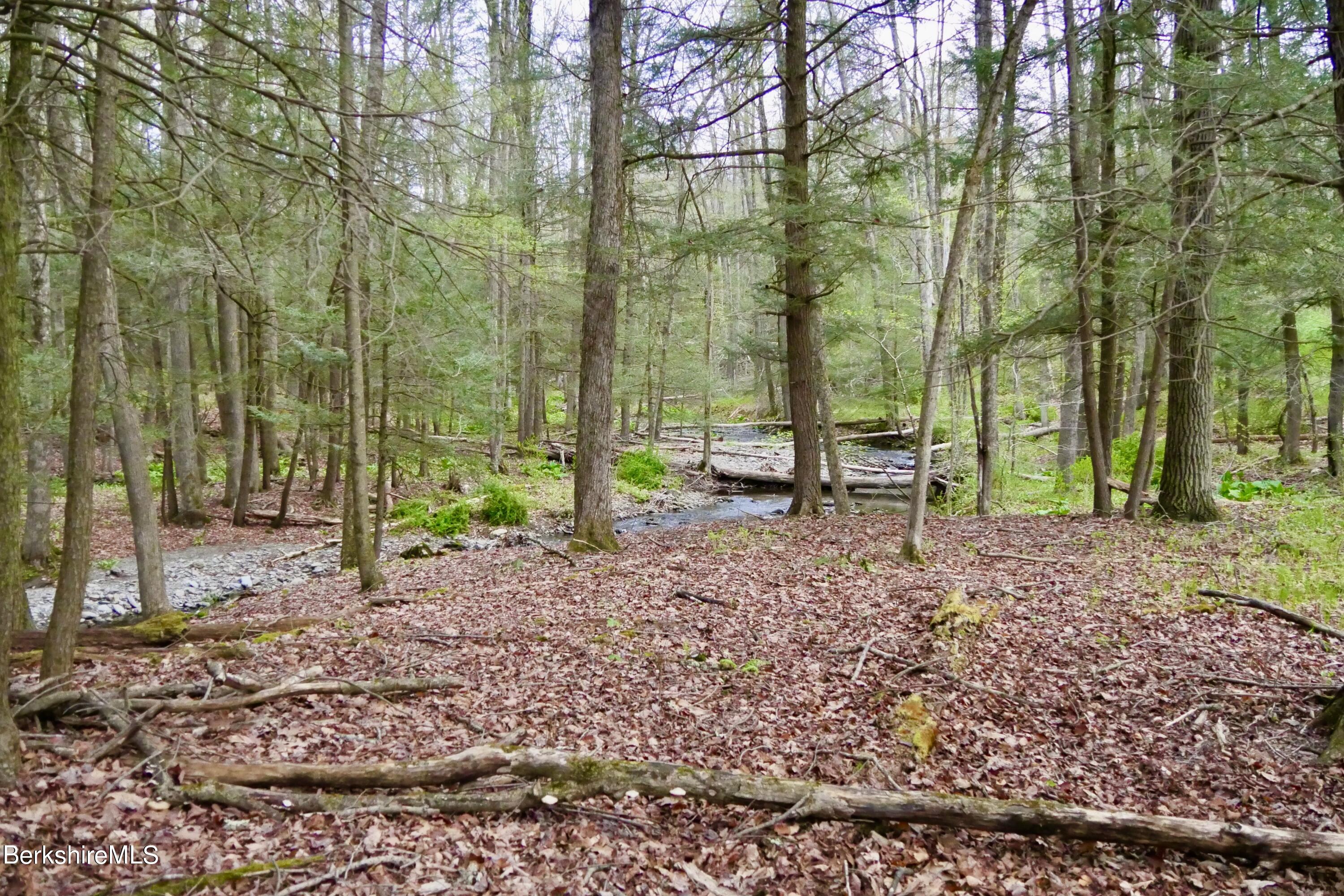 75 Belgo Road Salisbury, CT 06039 - Photo 11 of 26 a view of a park with large trees