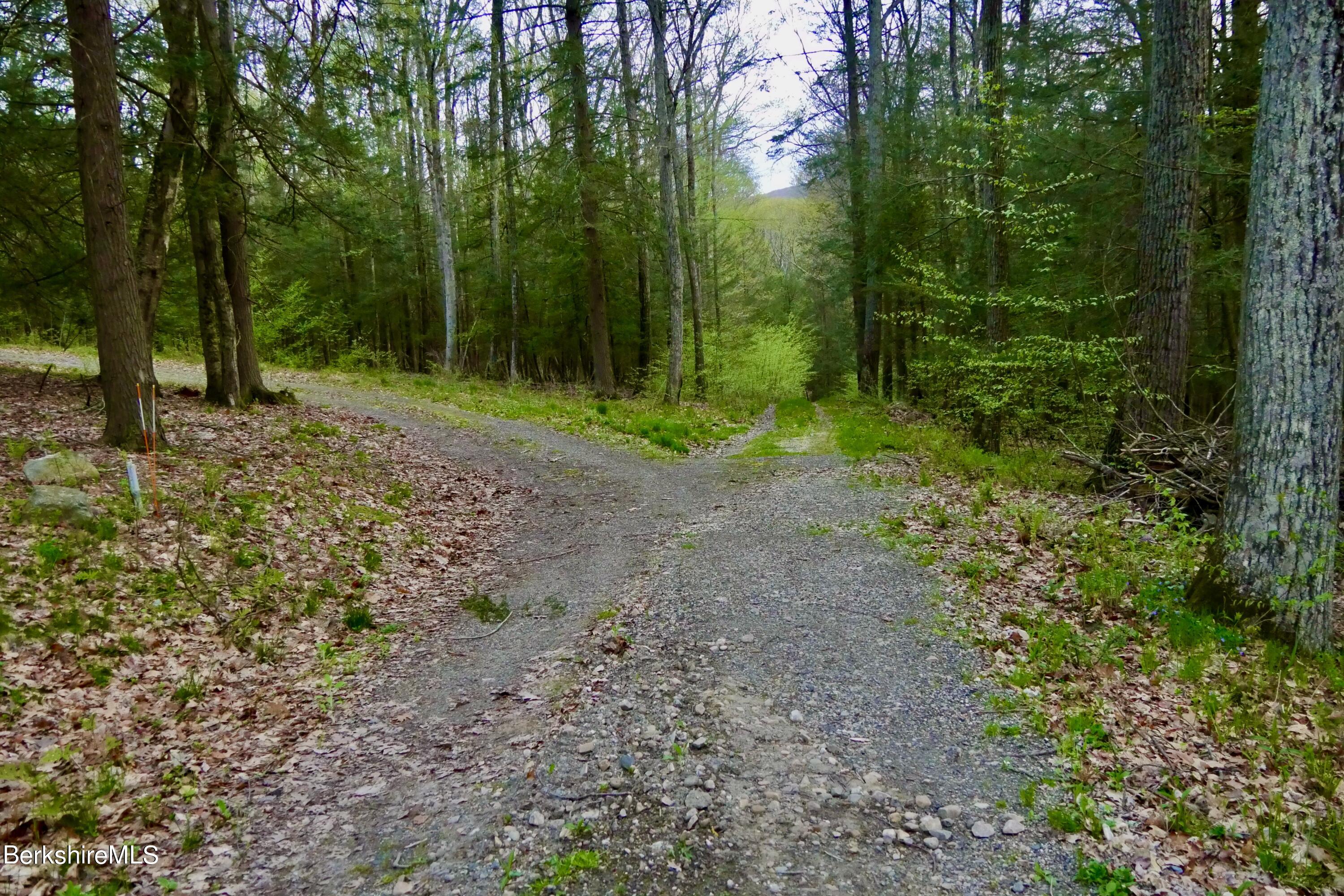 75 Belgo Road Salisbury, CT 06039 - Photo 2 of 26 a view of a yard with plants and trees