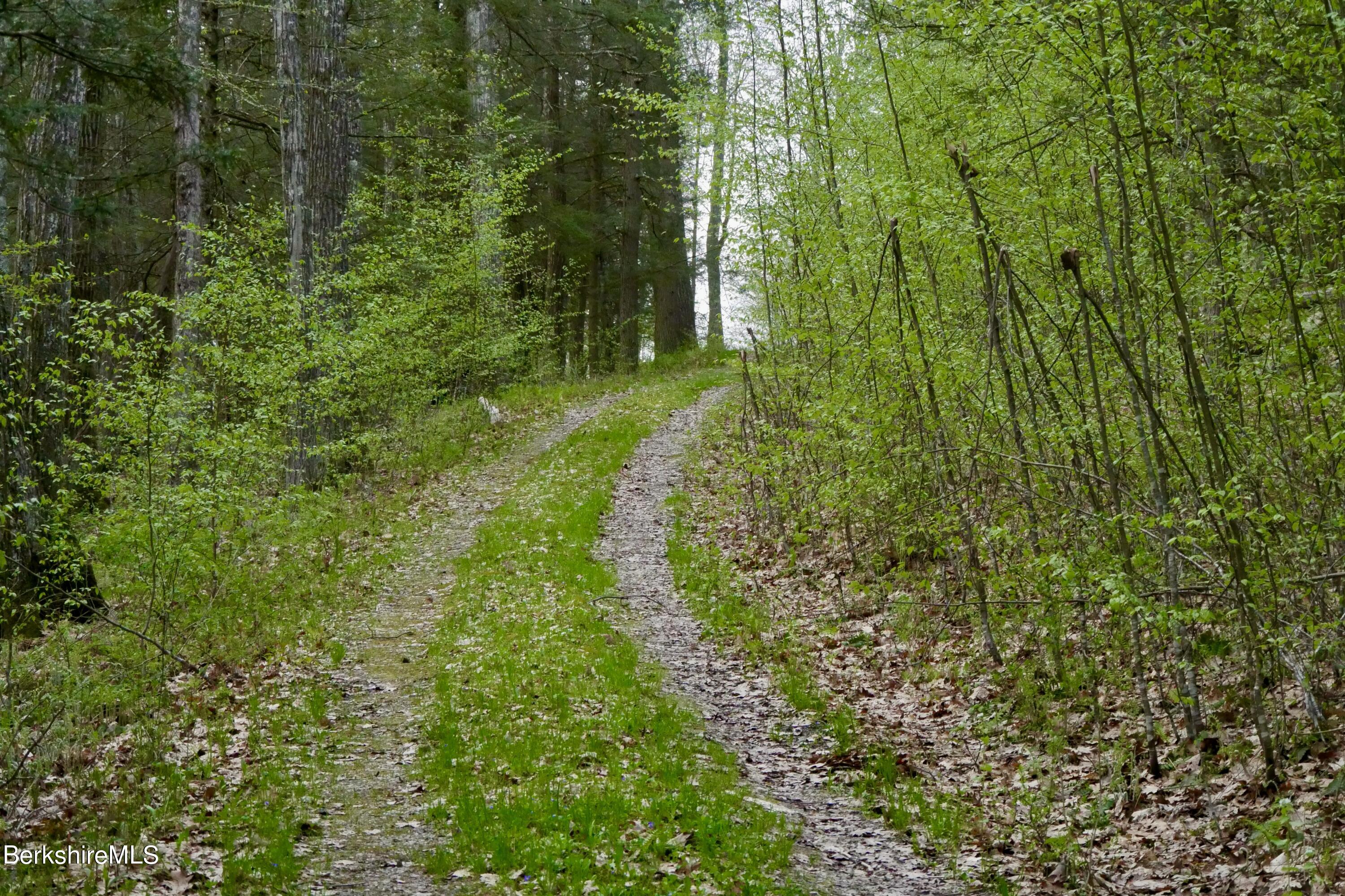 75 Belgo Road Salisbury, CT 06039 - Photo 3 of 26 a map view of a forest