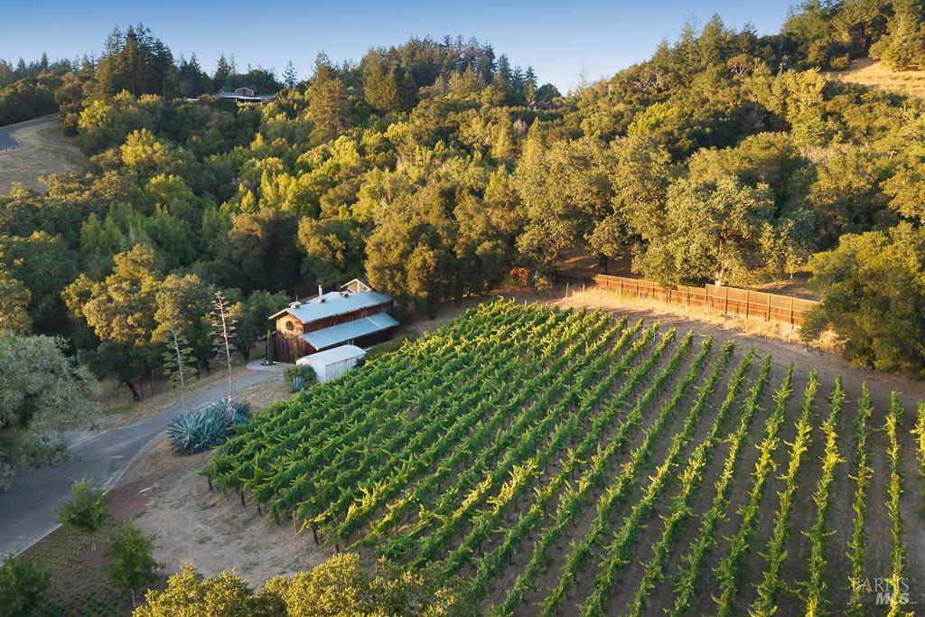 10533 Westside Road Healdsburg, CA 95448 - Photo 42 of 53