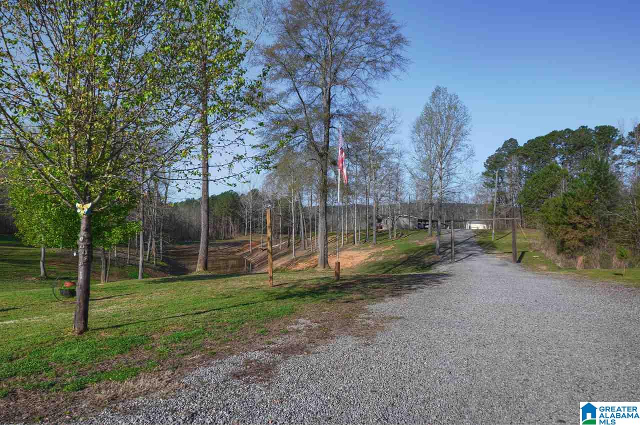880 Copeland Ferry Road Cordova, AL 35550 - Photo 8 of 31