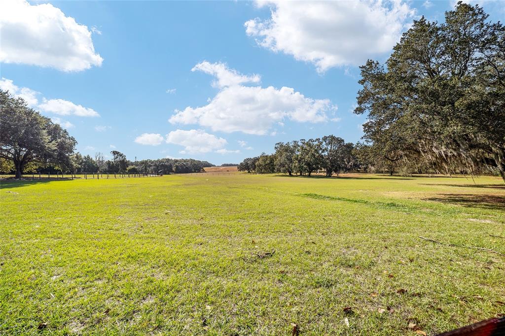 36203 Micro Racetrack Road Fruitland Park, FL 34731 - Photo 28 of 72 a view of an ocean