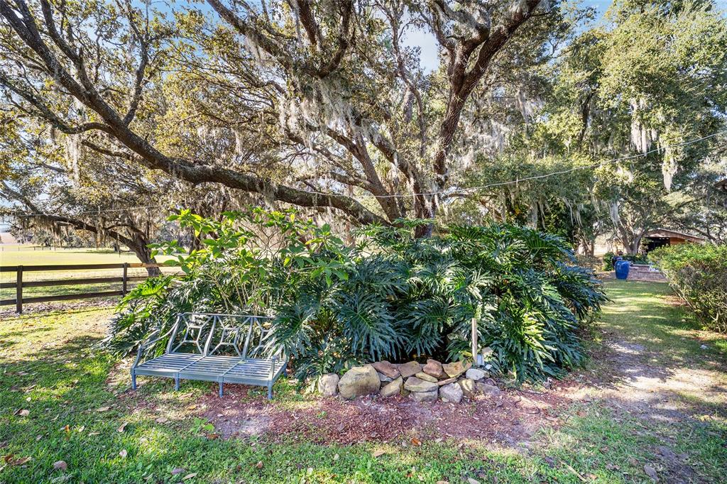 36203 Micro Racetrack Road Fruitland Park, FL 34731 - Photo 30 of 72 a backyard of a house with lots of green space