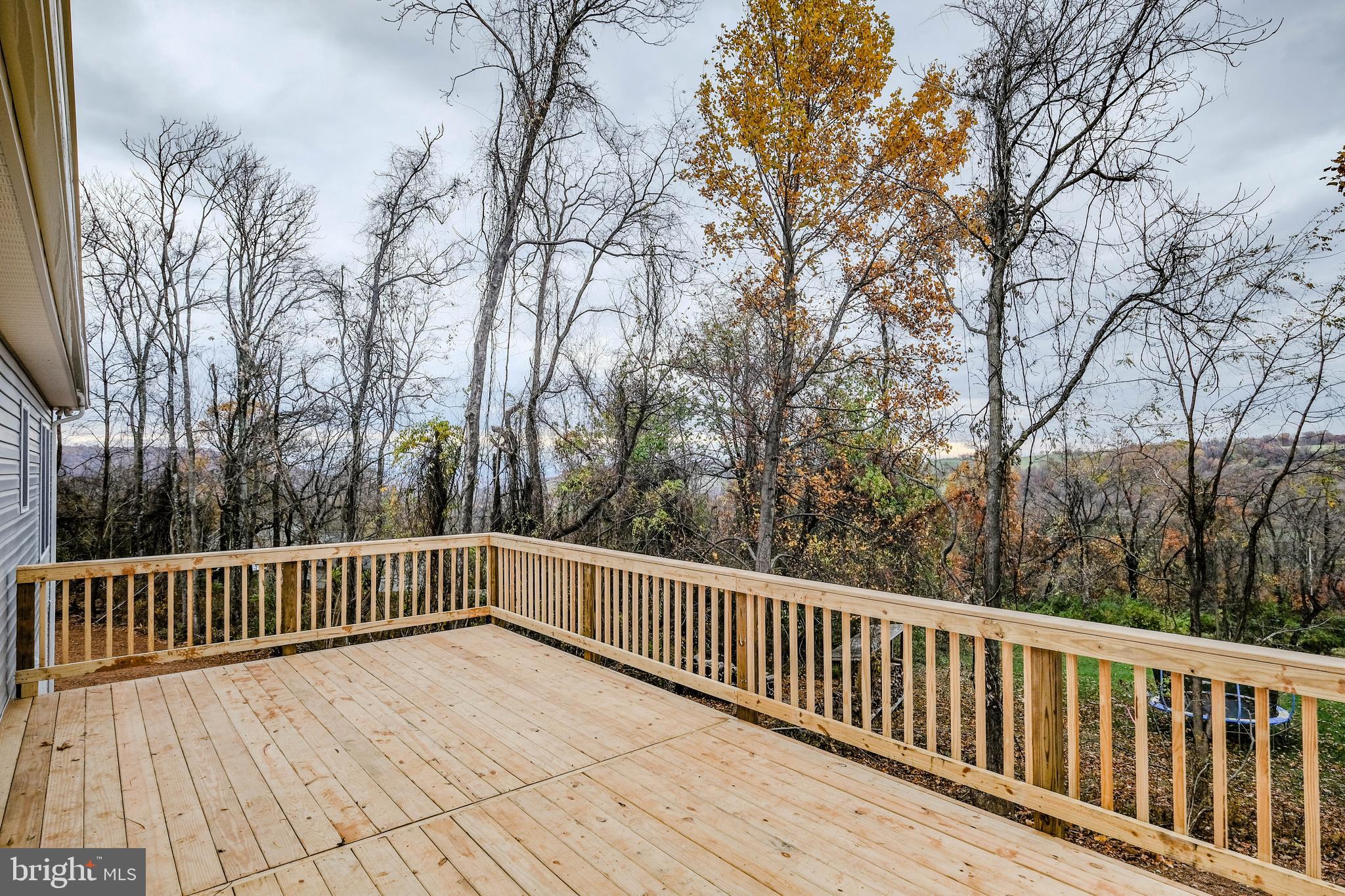 13 A West Strasburg Road Front Royal, VA 22630 - Photo 3 of 56 24x12 rear deck INCLUDED