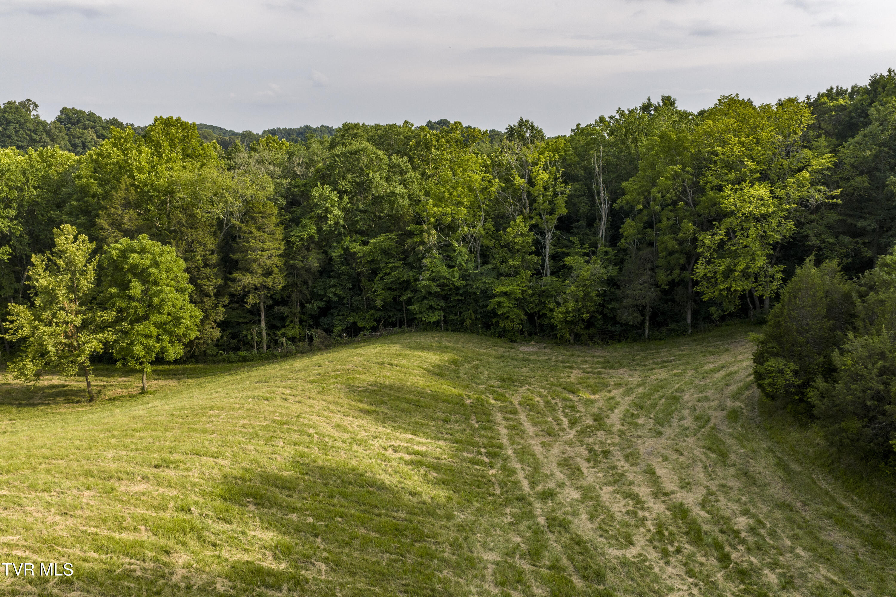 999 Muddy Creek Road Piney Flats, TN 37686 - Photo 50 of 54 MuddyCreek-Aerials-23
