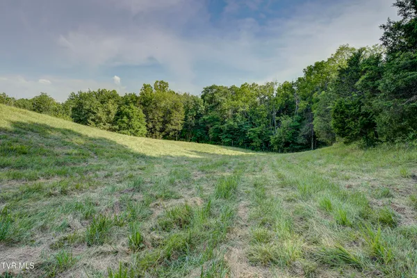 $540,000 | 999 Muddy Creek Road, Piney Flats, TN 37686
