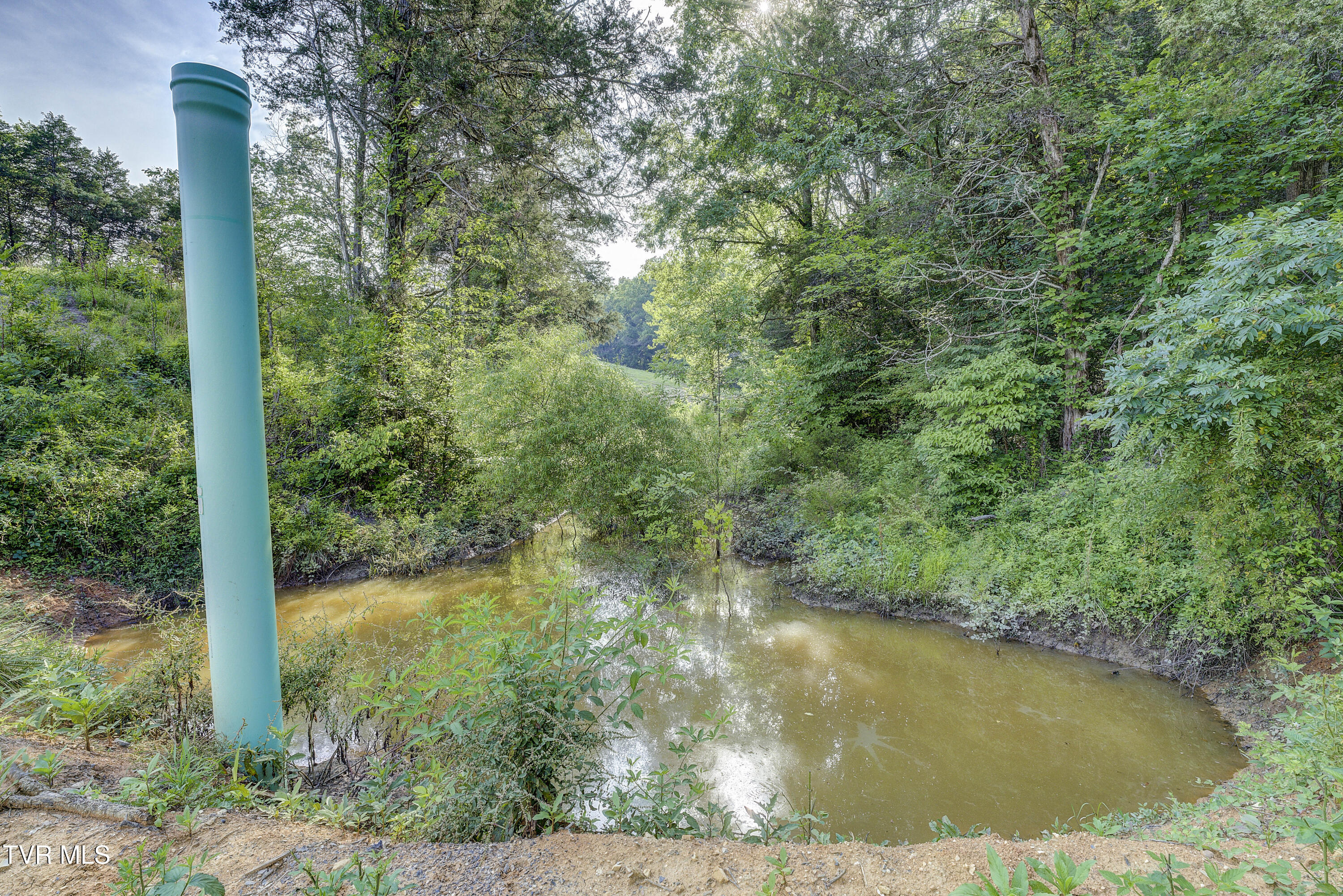 999 Muddy Creek Road Piney Flats, TN 37686 - Photo 9 of 54 MuddyCreekRd-Land--19