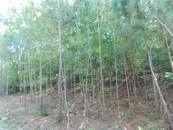 $90,000 | Lot 6 Bentwood Way, Salem, SC 29676