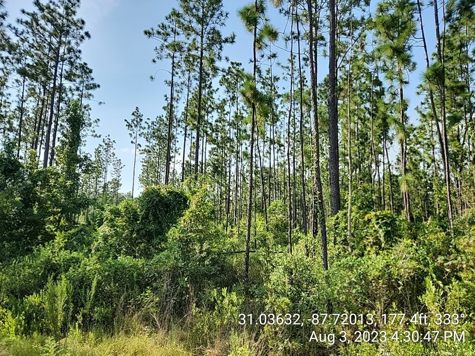 6 Paul Road Bay Minette, AL 36507 - Photo 2 of 3