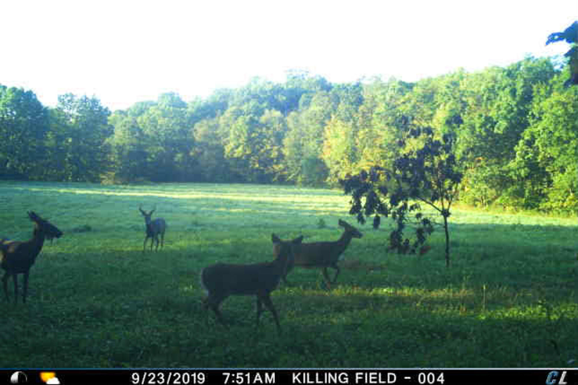 Lt0 Denzer Road North Freedom, WI 53951 - Photo 56 of 68 Sauk-County-WI-54-Acres-Land-For-Sale-56