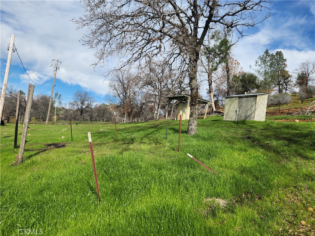 356 Chinese Wall Road Oroville, CA 95966 - Photo 29 of 30 a view of a park with large trees