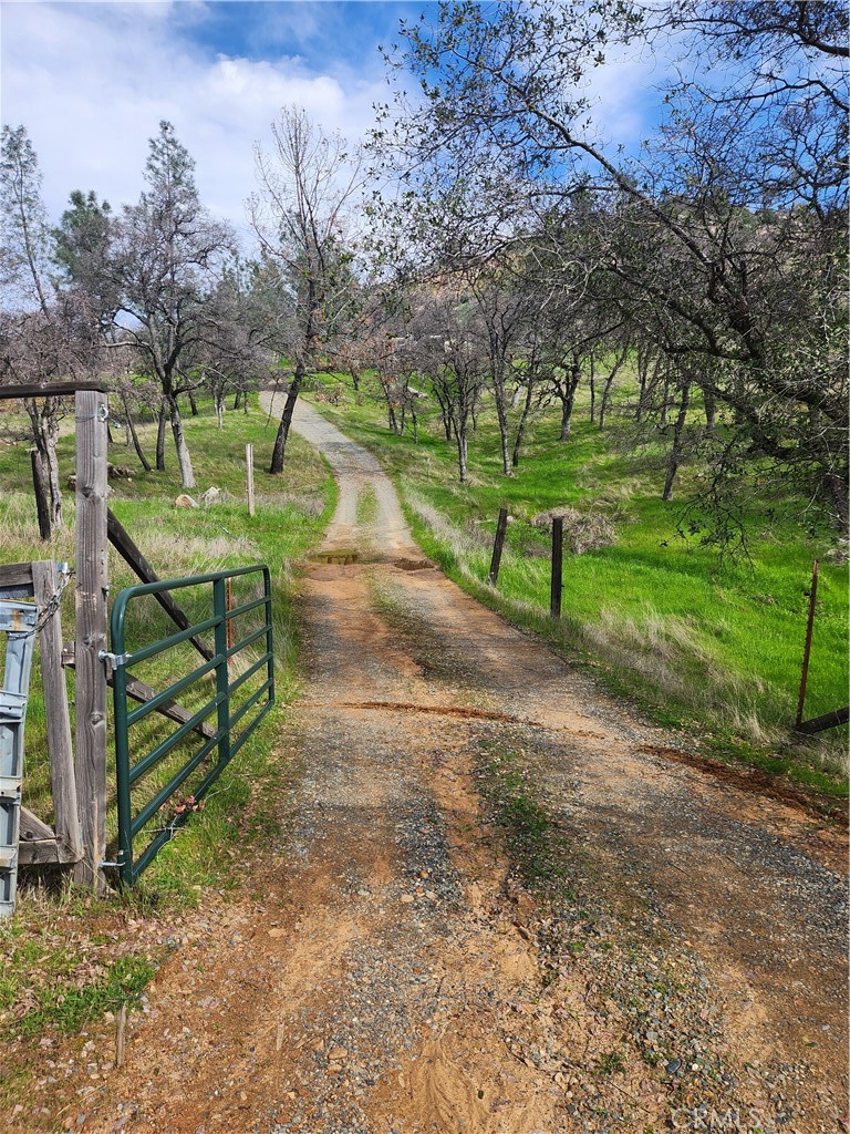 356 Chinese Wall Road Oroville, CA 95966 - Photo 6 of 30 a view of park