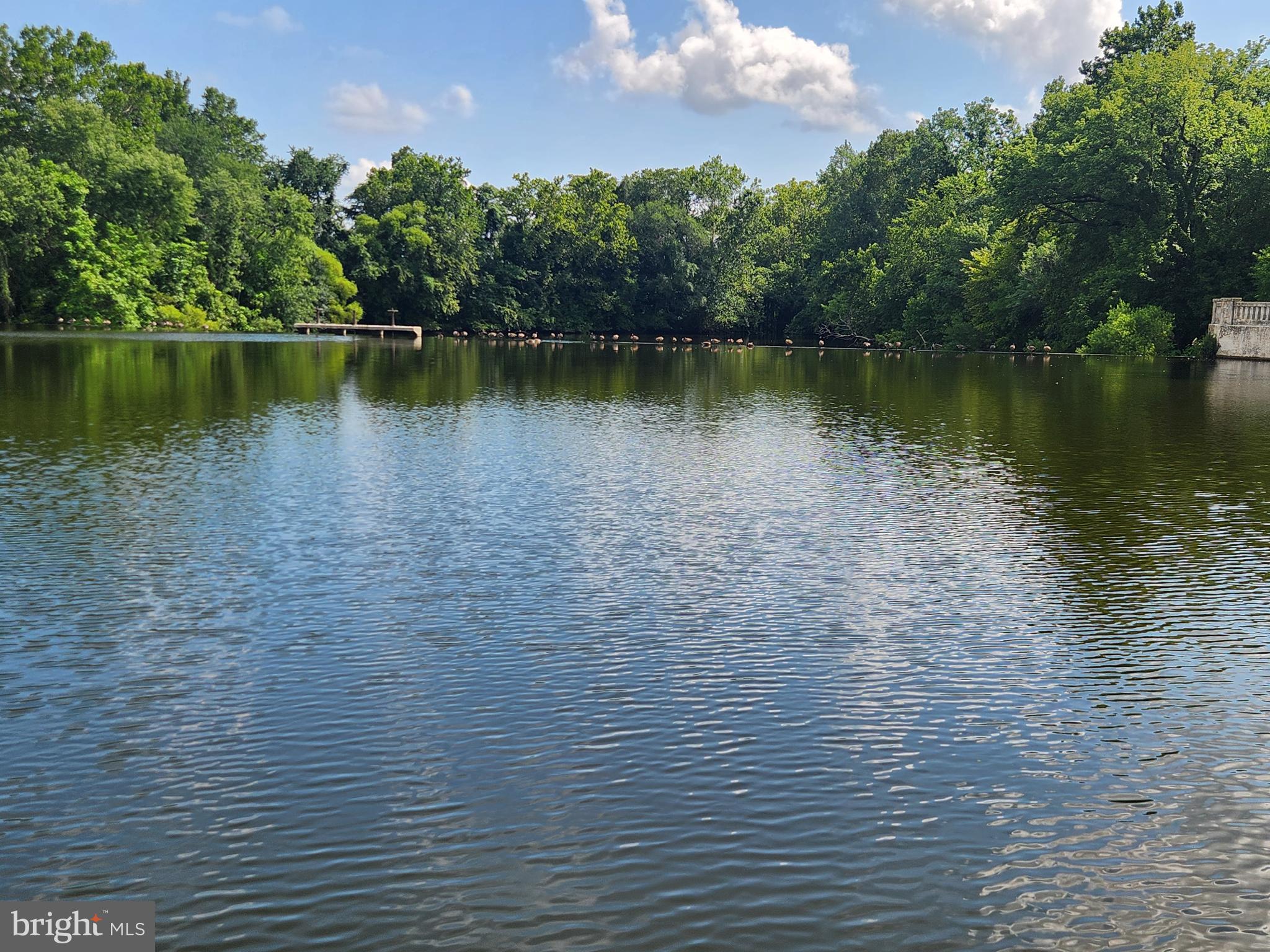 403 Rose Street Salisbury, MD 21801 - Photo 31 of 35 a view of a lake with houses in the back