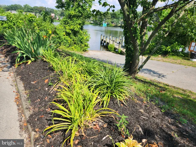 a plant that is in front of a house