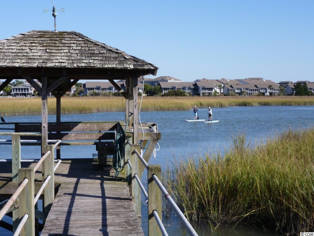 2 Inlet Point Drive Pawleys Island, SC 29585 - Photo 22 of 25 Gallery Image 22