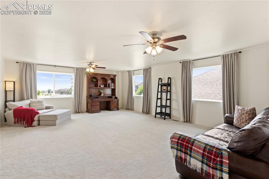 2245 Reed Grass Way Colorado Springs, CO 80915 - Photo 19 of 38