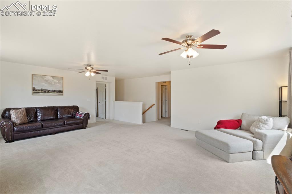 2245 Reed Grass Way Colorado Springs, CO 80915 - Photo 20 of 38