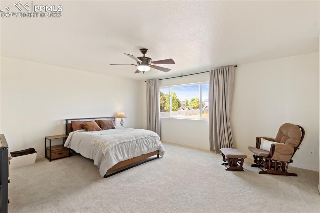 2245 Reed Grass Way Colorado Springs, CO 80915 - Photo 22 of 38