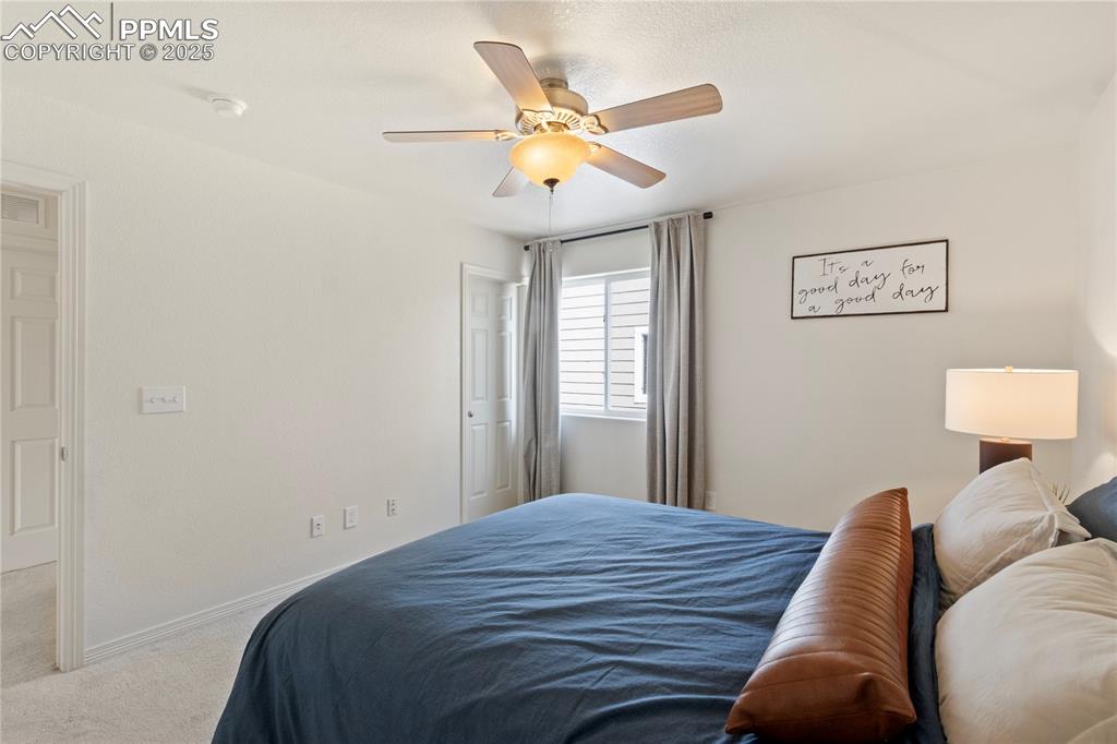 2245 Reed Grass Way Colorado Springs, CO 80915 - Photo 29 of 38