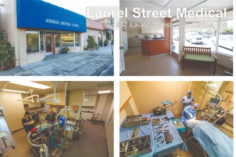 $1,850,000 | 987 Laurel Street, San Carlos, CA 94070