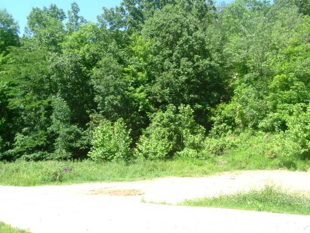 0 Hickson Run Road Chillicothe, OH 45601 - Photo 4 of 5 Gallery Image 4