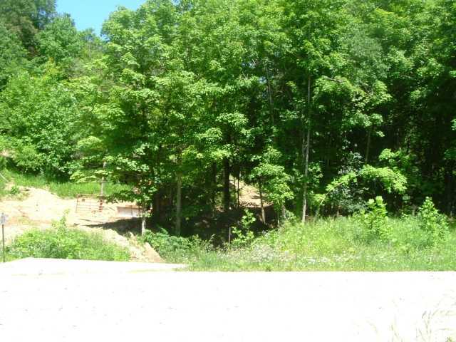 0 Hickson Run Road Chillicothe, OH 45601 - Photo 5 of 5 Gallery Image 5