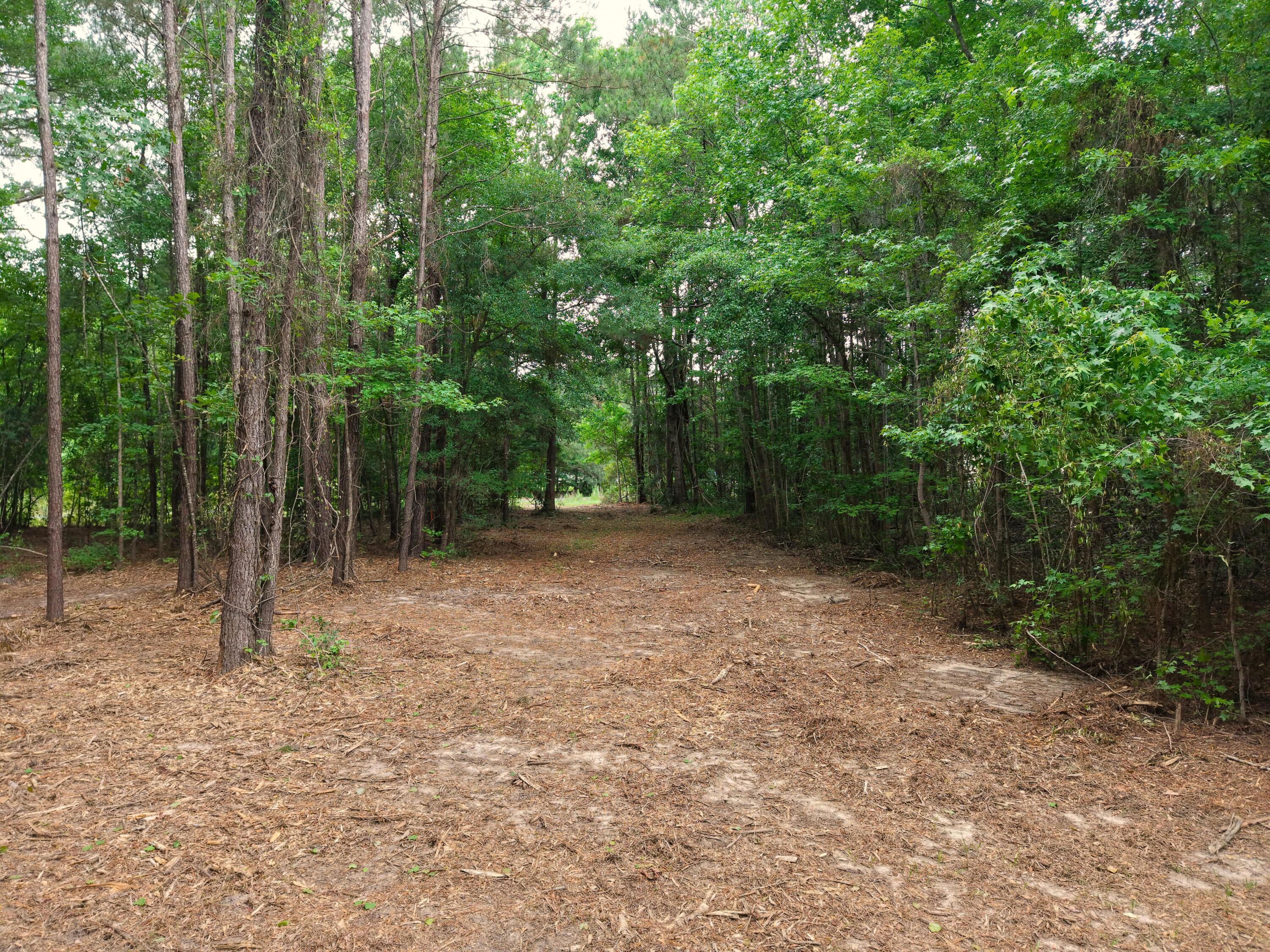 0 Hickory Hill Road Green Pond, SC 29446 - Photo 9 of 20 DJI_20260527155227_0248_D