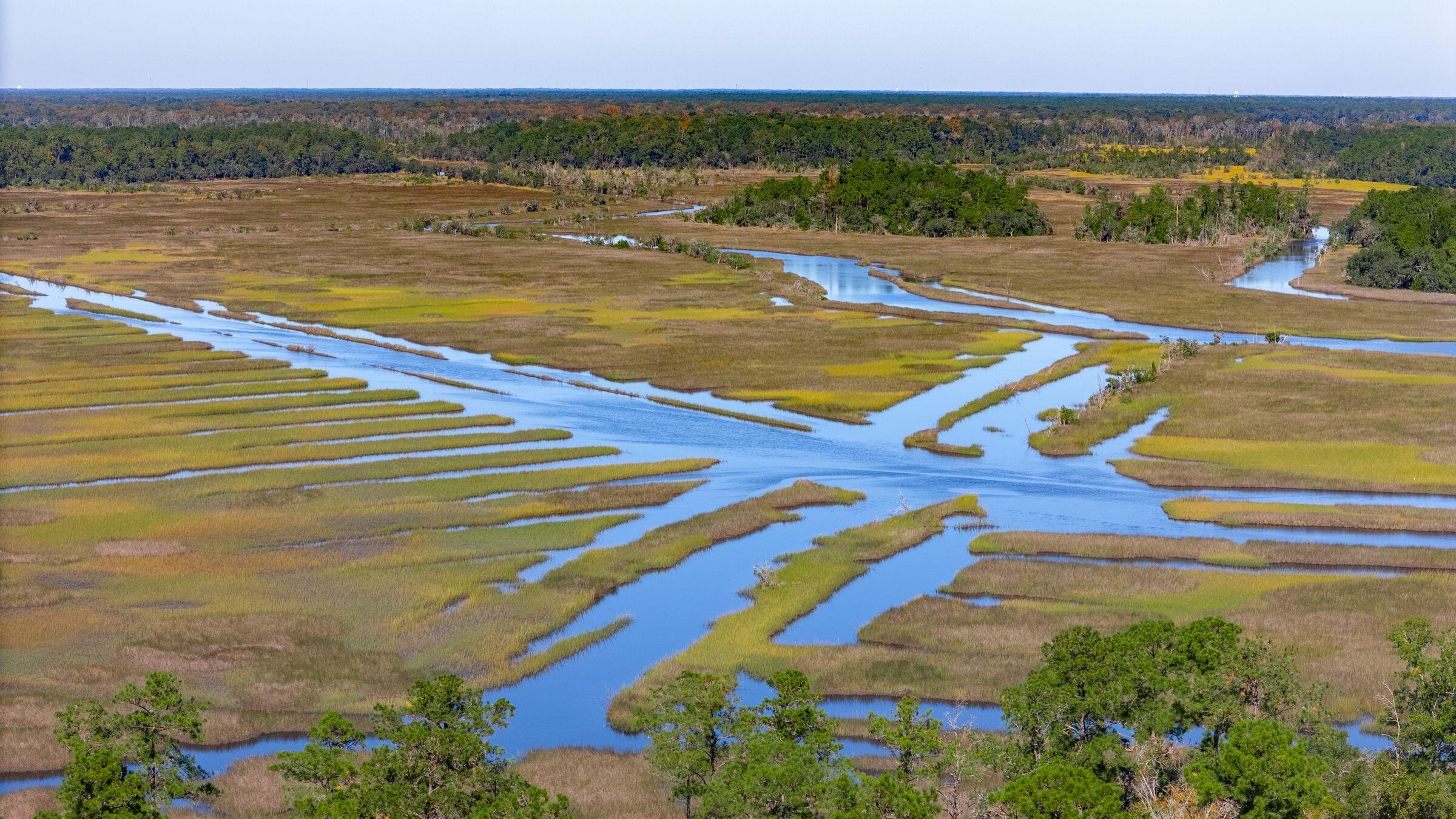 3945 Bulow Landing Road Ravenel, SC 29470 - Photo 98 of 147 3945BulowLandingRd-KeenEyeMarketing-098