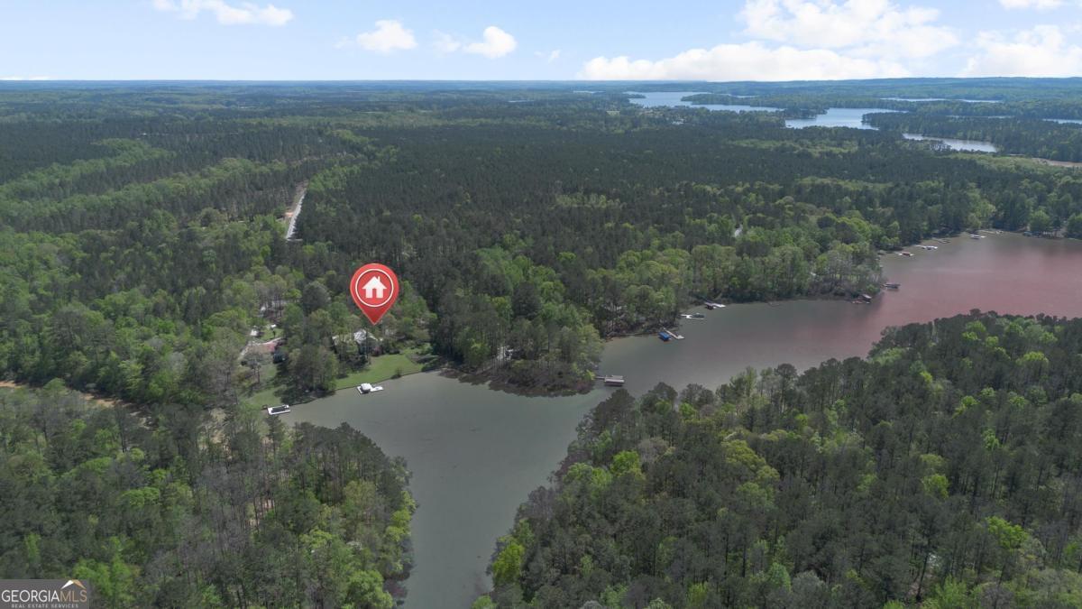 1320 Tal Lewis Road White Plains, GA 30678 - Photo 5 of 7 a view of a lake from a yard